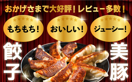 美豚餃子15個入×3袋 豚肉 SPFポーク 小分け 国産野菜 冷凍 五島市/長崎フードサービス [PEL003]