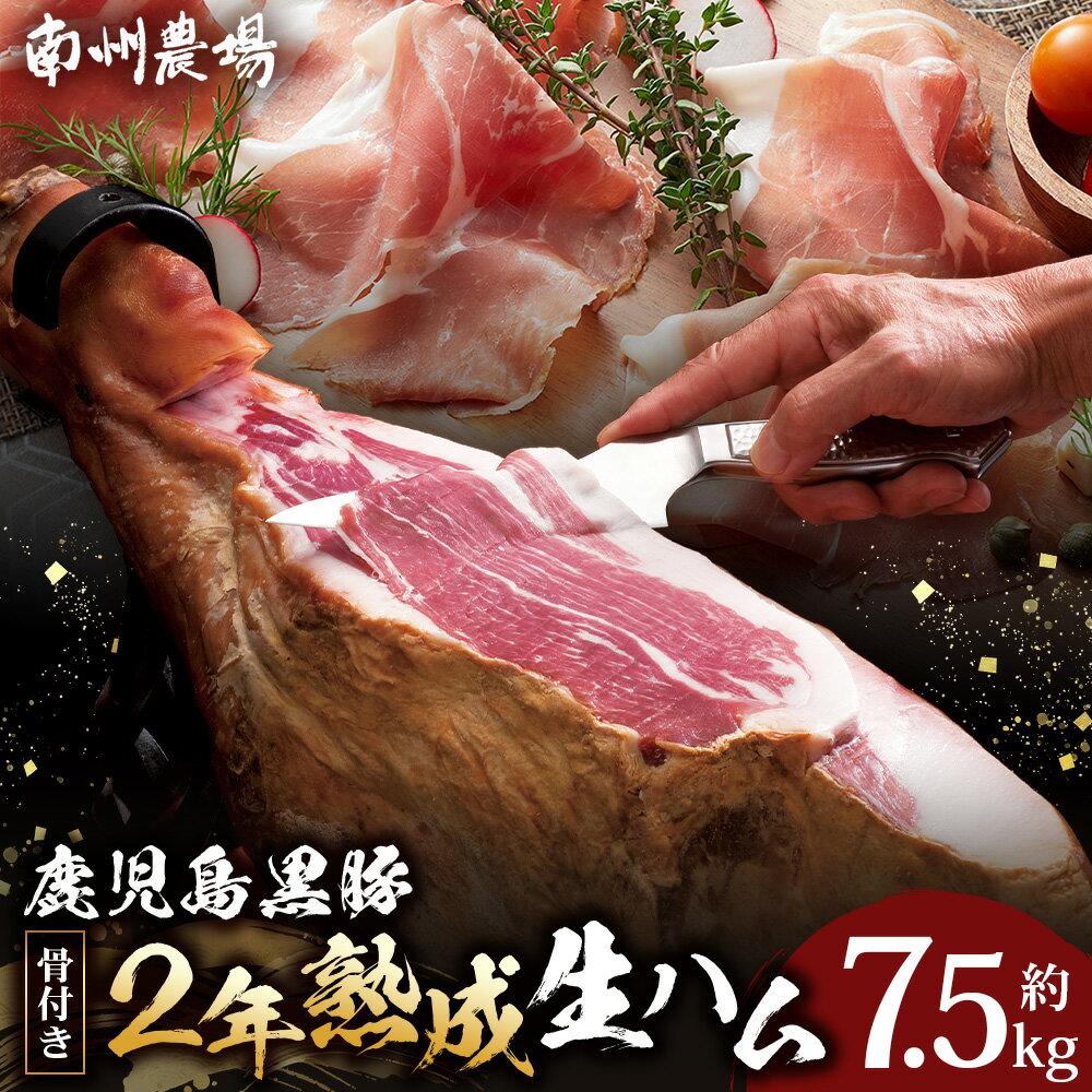 【ふるさと納税】【鹿児島黒豚】　骨付き2年熟成生ハム（6127）