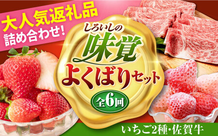 【R8年1月以降発送】【全6回定期便】いちご2種と佐賀牛のセット / いちご 牛肉 [IZZ025]