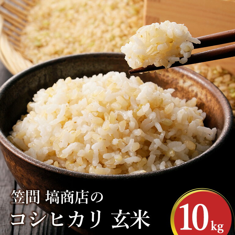 【ふるさと納税】コシヒカリ 玄米 10kg 笠間 塙商店 米 令和7年度産 ブランド米 お米 げんまい 国産 おにぎり 弁当 R7年産 ごはん おいしい 旨い ふっくら お米 茨城県 笠間市 いばらき