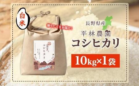 ＜先行予約＞令和7年産 コシヒカリ 白米 10kg×1袋 長野県産 米 精米 お米 ごはん ライス 甘み 農家直送 産直 信州 人気 ギフト お取り寄せ 平林農園 送料無料 長野県 大町市