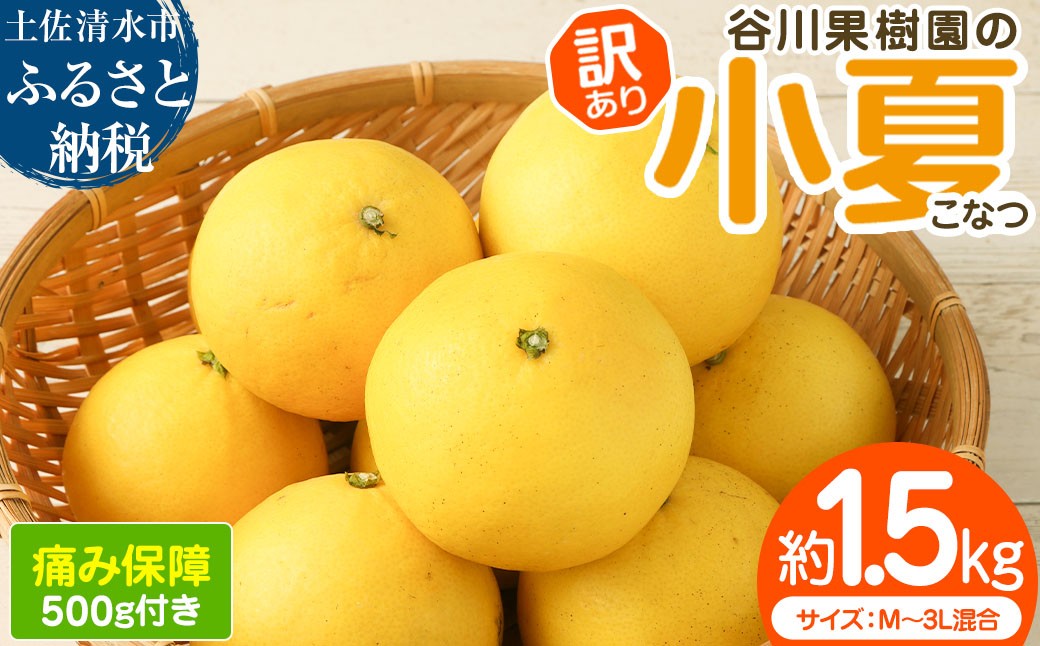 
                  R9.4月中旬以降発送予定  <訳あり> 谷川果樹園の小夏 1.5kg 日向夏 みかん 柑橘 フルーツ こなつ ニューサマーオレンジ 果物 美味しい ワケあり 訳 自宅用 おやつ 高知【R01664】
                