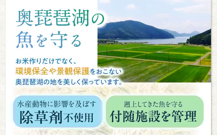 近江米コシヒカリ 魚のゆりかご水田米 10kg こしひかり 近江米 滋賀 魚のゆりかご 水田 米 お米 白米