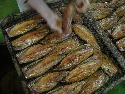 『熱海ブランド認定商品 創業60年』無添加・天日干し さばのしょう油干し10枚