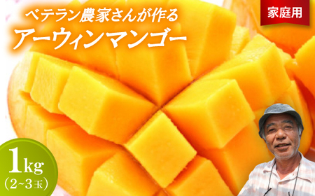 【2026年7月から順次発送・家庭用】ベテラン農家さんが作る アーウィンマンゴー1kg(2～3玉)【配送不可地域：離島】【1694741】