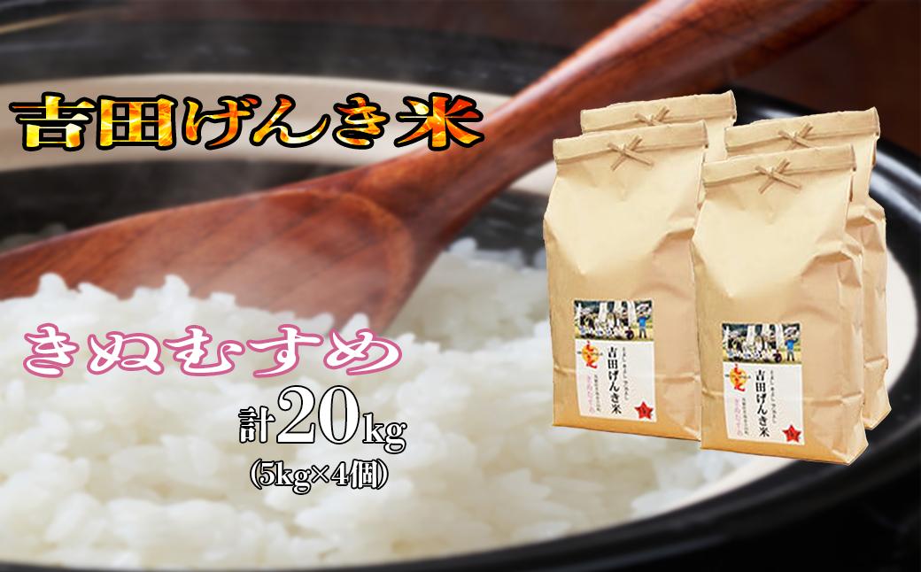 
島根県雲南市「吉田げんき米」きぬむすめ20kg（5kg×4）【島根県産 雲南市産 ブランド米 米 お米 白米 コメ こめ おこめ ライス 精米 ふっくら ツヤツヤ 炊き立て 甘い 美味しい 家庭用 ふるさと ご飯 おうちご飯 袋 自然 天然 送料無料 定番 朝食 昼食 夜食】
