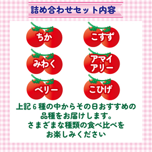 【訳あり】 ミニトマト 3kg ＼ 品種おまかせ ／ 2種以上