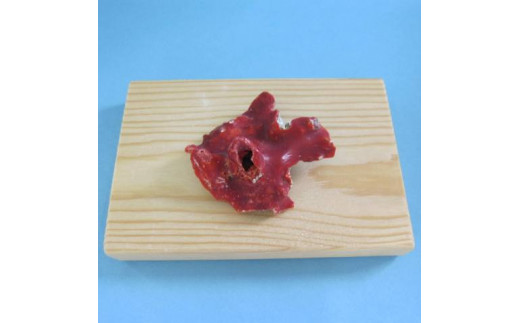 珊瑚職人館の珊瑚の原木・拝見・置物（g51）