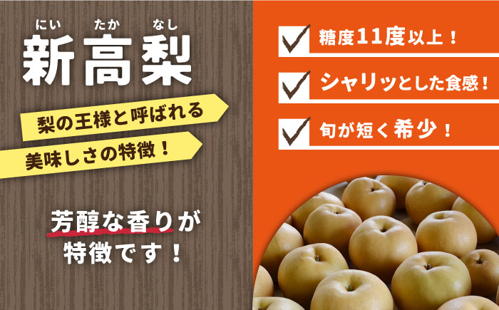 【2025年9月〜発送】シャリッと食感がたまらない！新高梨 5kg (玉数おまかせ) / 梨 なし くだもの 果物 フルーツ 常温 ギフト プレゼント 贈り物 / 南島原市 / ふるさと企画 [SBA