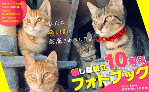 猫が社員の会社／癒し課フォトブック「私たち『癒し課』に配属されました」｜フォトブック 写真集 猫 ネコ ねこ 動物 癒やし [1289]