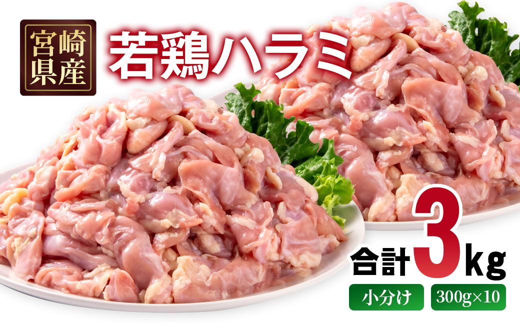 宮崎県産若鶏 ハラミ 3kg 小分け 300ｇ×10パック＜70-10a＞