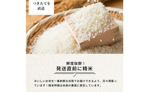 令和８年産 新米 ミルキークイーン 精米 10kg ／ おんじ屋 お米 白米 三重県 度会町 伊勢志摩