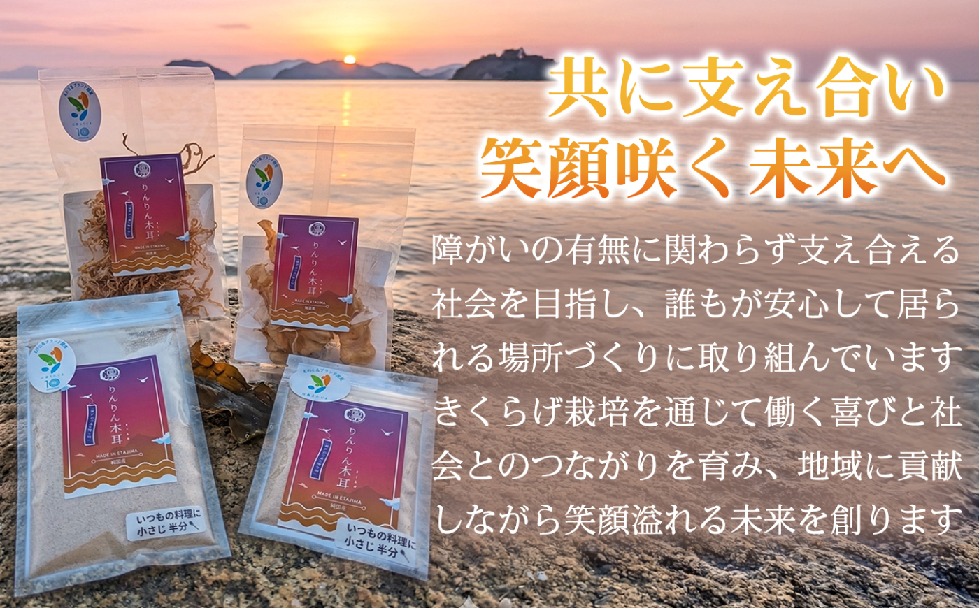 【カット済みで調理しやすい】乾燥きくらげ（スライス）(10g×5袋)　1セット きくらげ 粉末 乾燥きくらげ パウダー スライス ホール 国産 詰め合わせ 食物繊維豊富 料理用 スープ 食材 江田島産 広島県 [XCB034]