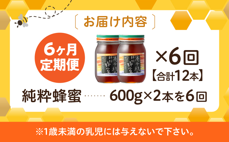 【6ヶ月定期便】日本みつばち 高千穂の純粋蜂蜜 600g×2本 セット |  瓶 蜂蜜 はちみつ ハチミツ 百花蜜 自然蜜100% 調味料  定期 はちみつセット 瓶 贈答 贈り物 ギフト プレゼント