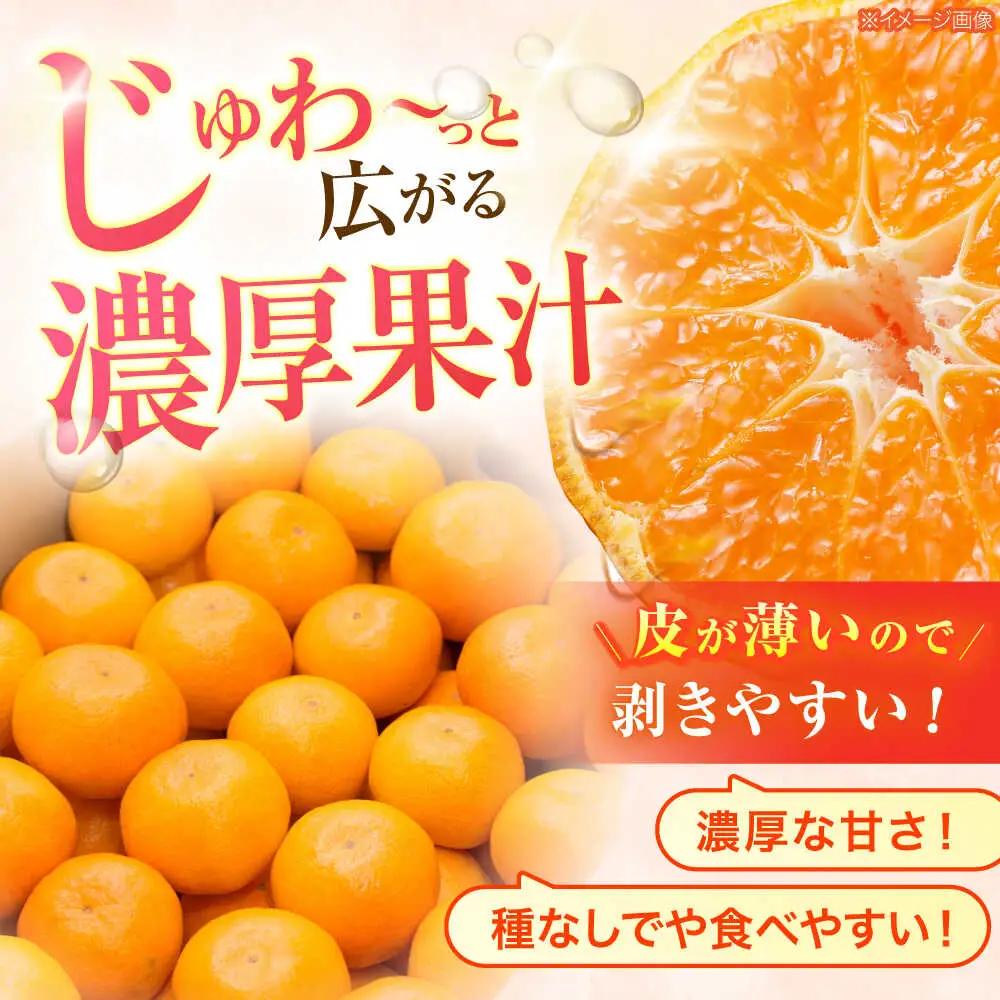 【2回定期便】※【2026年シーズン発送／先行予約】フルーツ定期便 シャインマスカット 約1.3kg(2房から3房) / 温州みかん(10kg) 家庭用 / フルーツ フルーツ定期便 果物定期便 シャ