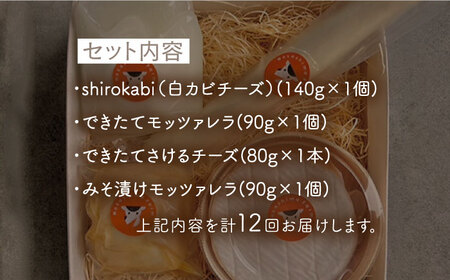 【12回定期便】世界銅賞受賞！白カビチーズ入り チーズ4種セット【ナカシマファーム】[NAJ109]チーズ ナカシマファーム チーズ 酪農家の手作りチーズ てづくりチーズ 人気チーズ おすすめチーズ 