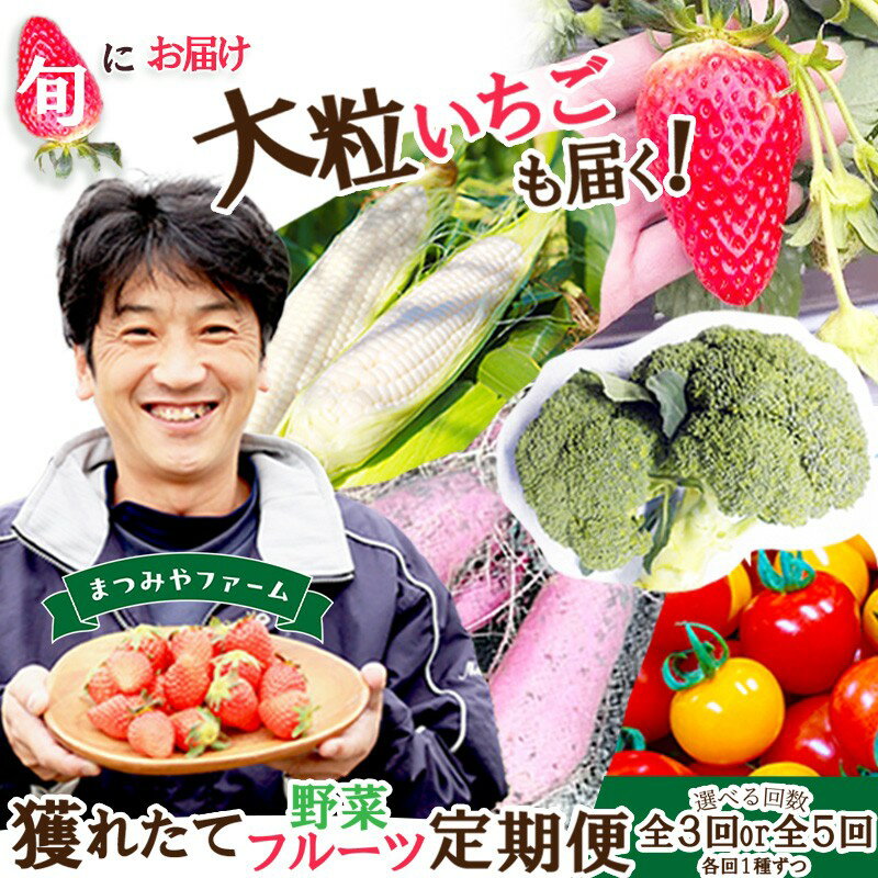 【ふるさと納税】【京野菜定期便】まつみやファーム獲れたて野菜・フルーツ定期便 3種 5種 選べる 定期便 回数 ふるさと納税 果物 くだもの フルーツ ふるーつ 野菜 やさい 芋 穀物 紅はるか さつまいも いちご イチゴ 苺 ホワイトコーン 農家応援 生産者応援 送料無料