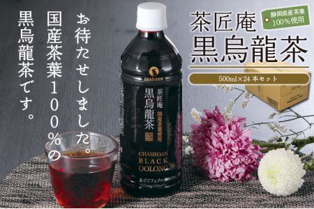 015-2000　【定期便3か月】静岡県牧之原産国産黒烏龍茶ペットボトル500ml×24本
