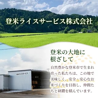 【3回定期便】宮城米 計30kg (10kg×3回配送) ブレンド米 業務用 お米 おこめ 米 コメ 白米 ご飯 ごはん おにぎり お弁当 頒布会 【登米ライスサービス株式会社】tm832