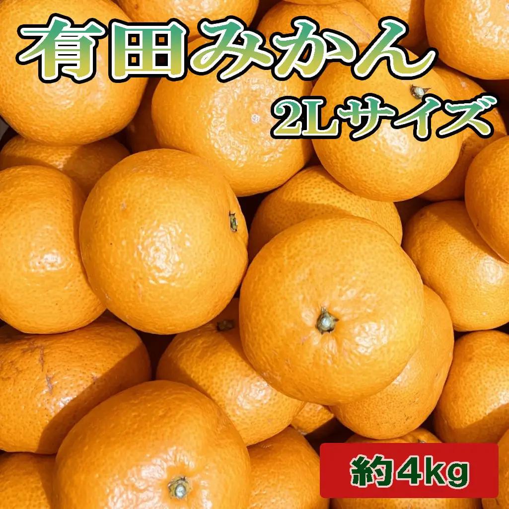 [秀品]和歌山有田みかん約4kg(2Lサイズ) ★2026年11月中旬頃より順次発送［TM199］