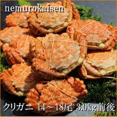 ふるさと納税 根室市 【北海道根室産】クリガニ14〜18尾(計3kg前後) A-57062