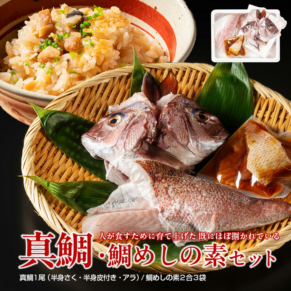 【ふるさと納税】（冷蔵） 人が食すために育てられほぼ捌かれている 真鯛・鯛めしの素 セット ／ 友栄水産 鯛 真鯛 鯛めし お刺身 炙り 塩焼き 煮つけ 伊勢志摩 三重県 南伊勢町