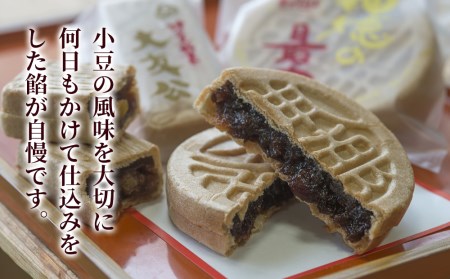 最中の詰合せ 10個入り | 津久見市