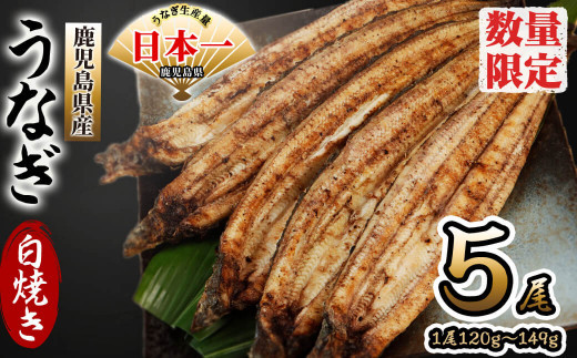 
            鹿児島県産 伊崎田のうなぎ白焼き ＜120g以上＞× 5尾(計600g以上)  うなぎ 鰻 ウナギ 国産 鹿児島県産 九州産 白焼き 冷凍 うな重 ひつまぶし b7-005
          