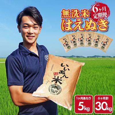 ふるさと納税 酒田市 【毎月定期便】はえぬき無洗米『いいあん米』5kg×6ヶ月連続 計30kg全6回
