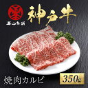 【ふるさと納税】【7営業日以内に発送】 神戸牛 焼肉カルビ350g 神戸ビーフ 神戸肉 但馬牛 カルビ 牛カルビ 和牛カルビ 焼肉用 焼き肉用 ブランド和牛 ブランド牛 国産和牛 黒毛和牛 牛肉 お肉 牛 肉 精肉 焼肉 焼き肉 BBQ バーベキュー 冷凍 兵庫県 朝来市 AS17BB47