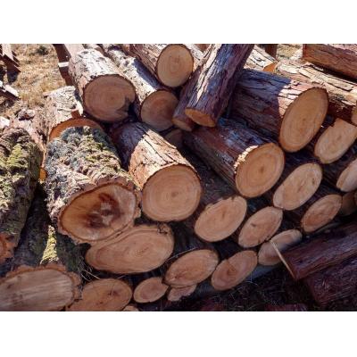 ふるさと納税 七宗町 東濃ひのき薪 20kg×4箱 計80kg 皮つき 国産 アウトドア キャンプ 薪 福薪 |  | 01