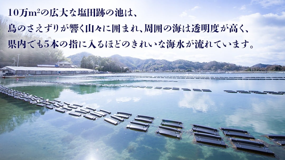 塩田跡の池を活用して牡蠣を養殖しているのは、国内で『ファームスズキ』だけ。
