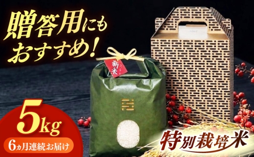 【茶（オリジナル手提げ箱）】【全6回定期便】 とくべつ の中の とくべつ 特別栽培米 夢つくし 5kg itoshimacco《築上町》【株式会社やました】 [ABEX007-1]