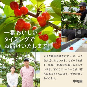 【2026年発送】大粒 さくらんぼ 1000g　さくらんぼ 佐藤錦 紅秀峰 [h052]