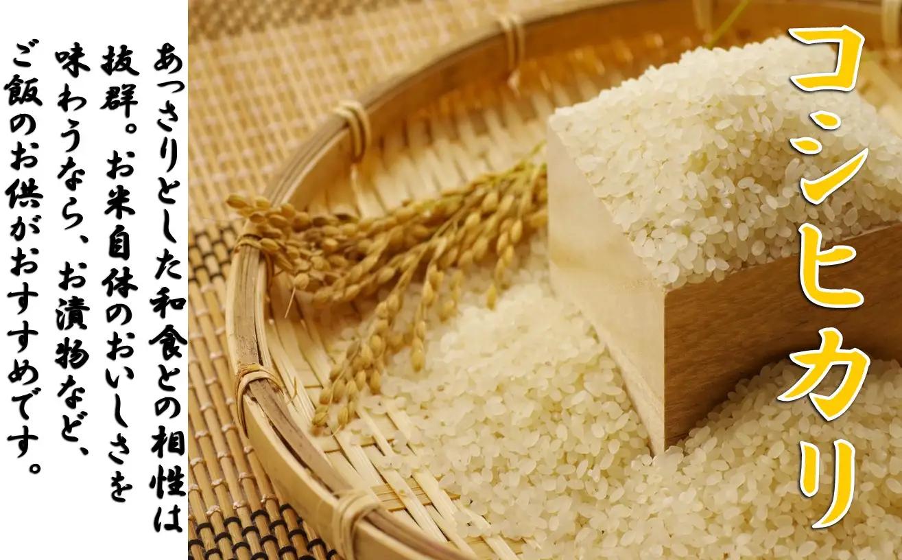 【令和８年産米 先行予約】コシヒカリ5kg　佐藤