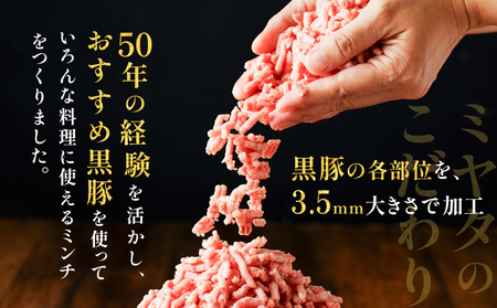 鹿児島県産 黒豚 ミンチ 1kg K025-013_02 豚 豚肉 ブタ ぶた 肉 お肉 豚ミンチ 黒豚ミンチ かごしま黒豚 真空 小分け パック 真空パック 便利 使いやすい 鮮度 餃子 そぼろ丼 