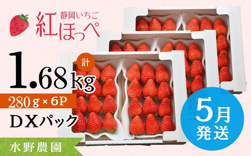 
６２８３　５月発送 掛川産完熟いちご 紅ほっぺ 280g×6P 1.68ｋｇ 1p:(8～15粒入)・ 水野農園
