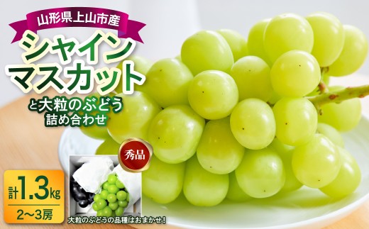 シャインマスカットと大粒ぶどうの詰合せ（品種おまかせ）１.３ｋｇ　0017-2608