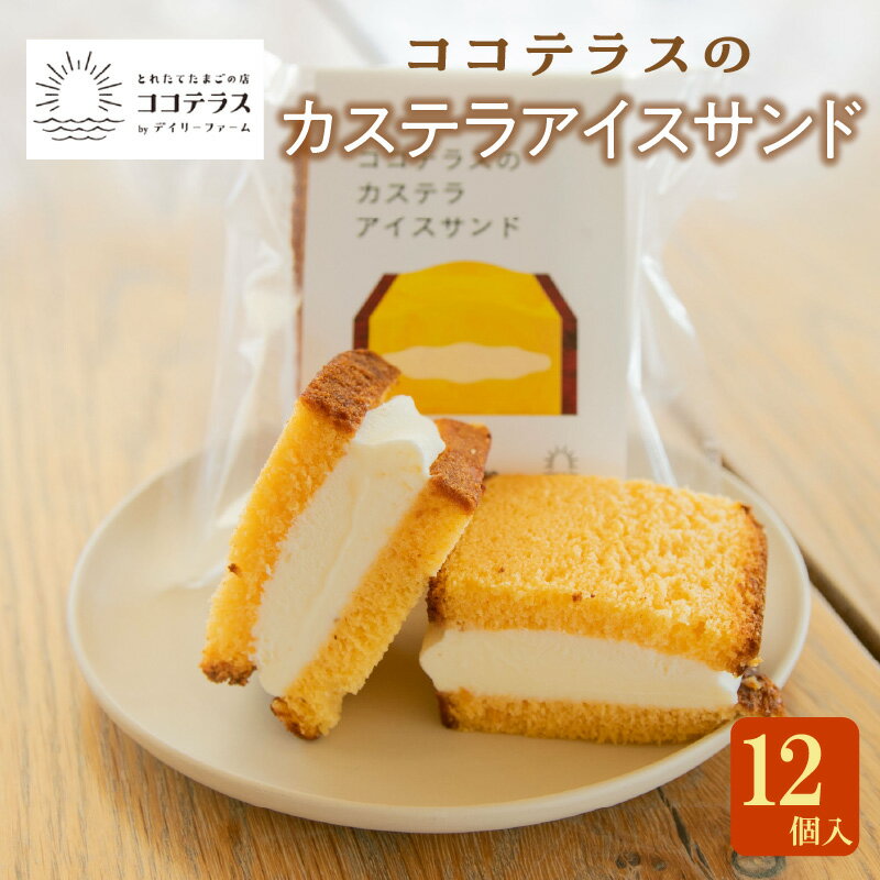 【ふるさと納税】ココテラスのカステラアイスサンド 【12個】 のし対応 洋菓子 和菓子 焼き菓子 北海道産 バニラ アイス アイスクリーム カステラ 子どものおやつ おやつ 卵 ティータイム ギフト 手土産 こだわりスイーツ デザート ココテラス 母の日 父の日 送料無料