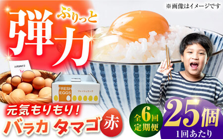【6回定期便】【箱入り】バラカタマゴ 25個入 M-Lサイズ 卵 玉子 たまご 国産 五島市 / 五島列島大石養鶏場[PFQ058]  玉子 タマゴ 鶏卵 希少 五島列島