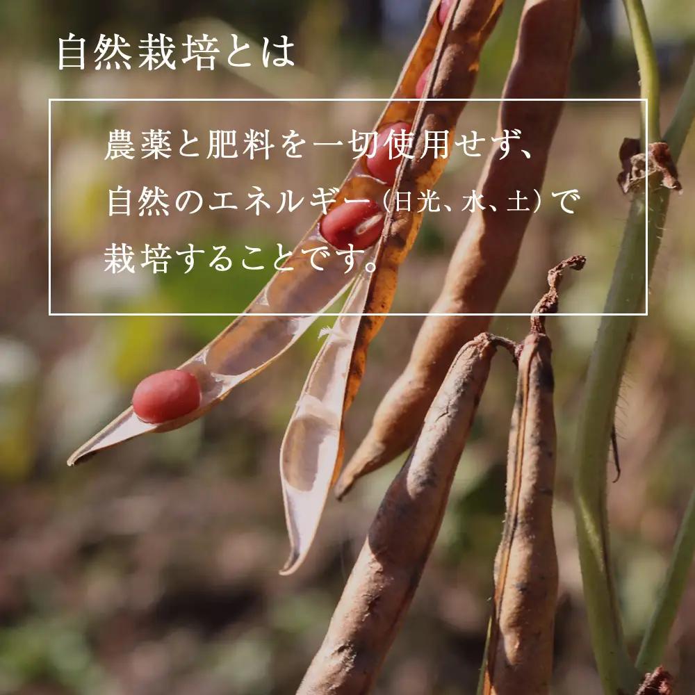 小豆茶 無農薬 積丹町産 ノンカフェイン　5袋