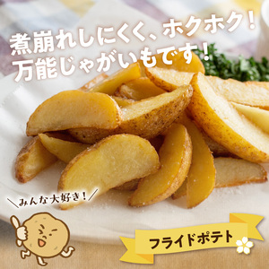 【 2026年 先行予約 受付中 】 新 じゃがいも ゴールド 10kg ＜ 3月お届け ＞ C056-006-02 ジャガイモ 新じゃが 新ジャガ 野菜 やさい 根菜 期間限定 先行受付 先行 予約