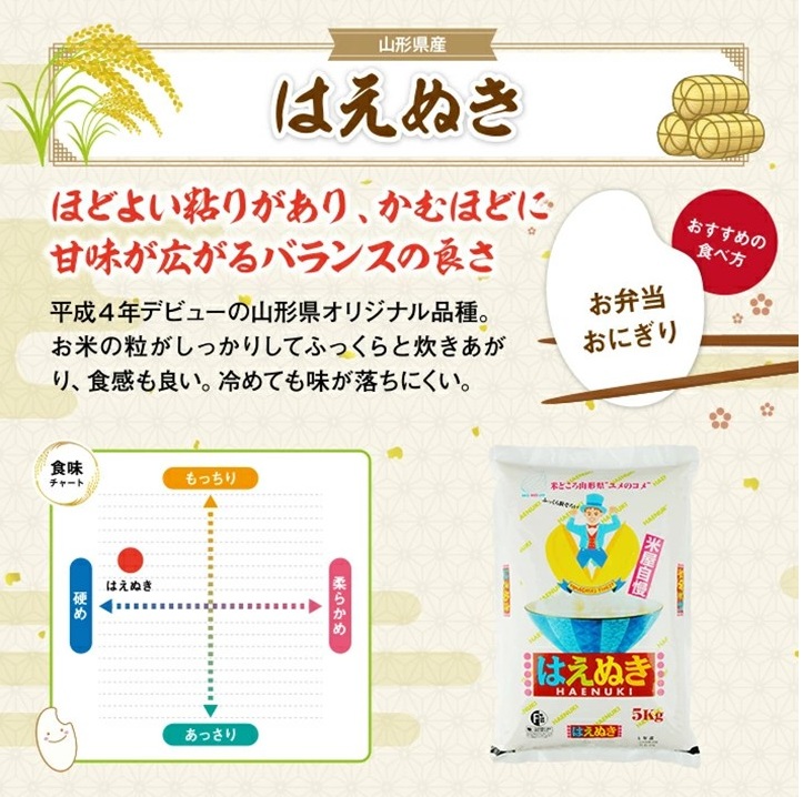 SJ0056　【6回定期便】［精米］はえぬき　5kg×6回(計30kg) TO