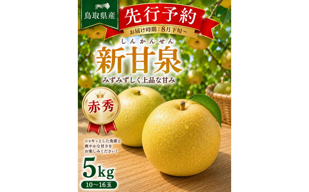 東商果樹園 新甘泉(赤秀)5kg 【鳥取県 境港市】