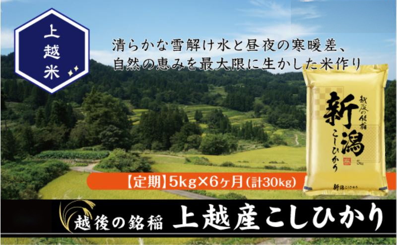令和7年産 新潟県上越産こしひかり 精米 5kg 6か月定期便 上