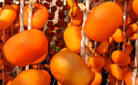 紅干し柿　１７０ｇ×４パック　0033-2412