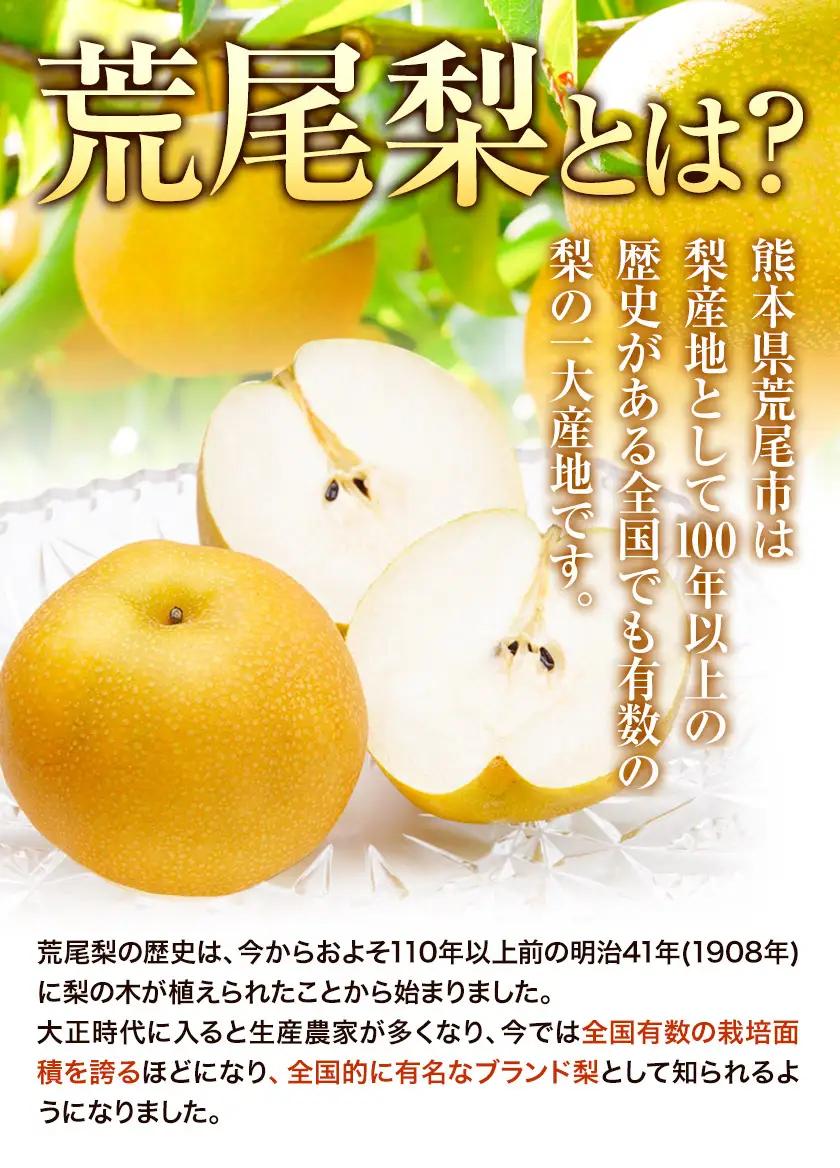梨 定期便 荒尾梨 4kg × 2回