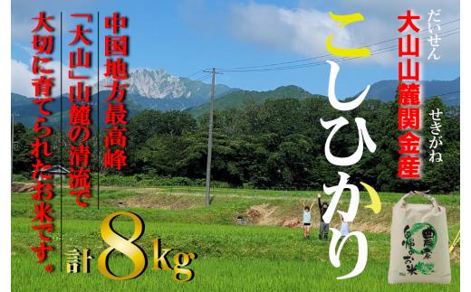 【令和７年産米】 【数量限定】大山山麓関金産 コシヒカリ 8kg (5kg×1袋、3kg×1袋) 令和7年産 新米 お米 米 こめ コメ 白米 ブランド おいしい 健康 産地直送 コシヒカリ