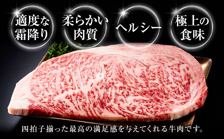 旭志牛 上ロース焼肉用A 250g 有限会社旭志村ふれあいセンター《90日以内に出荷予定(土日祝除く)》お肉 牛肉 ロース 焼き肉 菊池ブランド牛 冷凍 送料無料