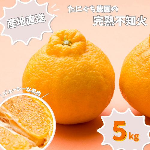 たにぐち農園の完熟不知火 5kg【2025年2月中旬から3月下旬までに順次発送】 / 不知火 みかん 蜜柑 デコポン